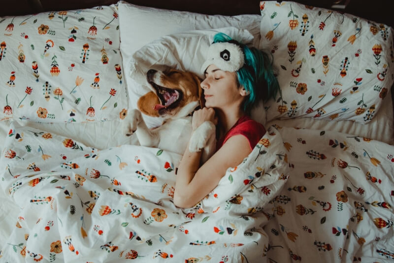 Dog Relaxing On Bed At Home