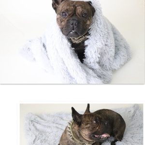 Dog Blankets - Long Plush Pet Dog Blankets Double Fluffy