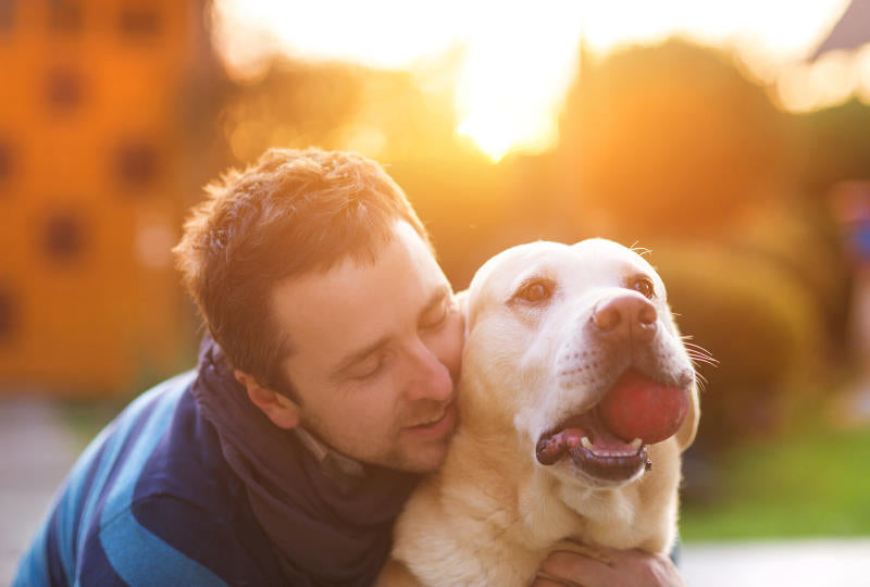 how to stop dog anxiety when left alone