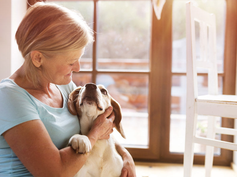 What to Do When Your Puppy Is Worried: Techniques for Handling Separation Anxiety and Panic